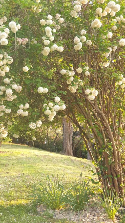 Casa Rural El Bellucu Onís Dış mekan fotoğraf